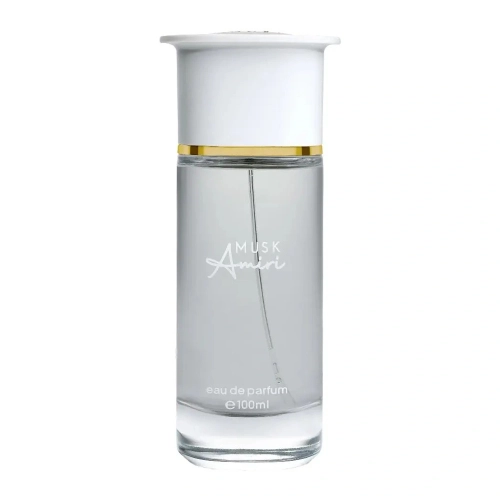 Ahmed Al Maghribi Musk Amiri